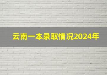 云南一本录取情况2024年