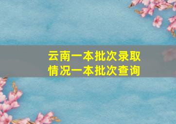 云南一本批次录取情况一本批次查询