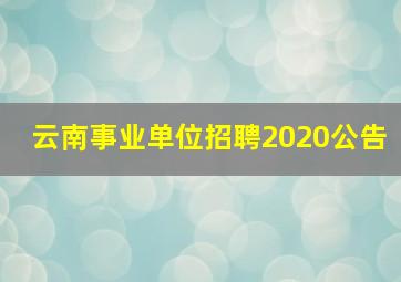 云南事业单位招聘2020公告