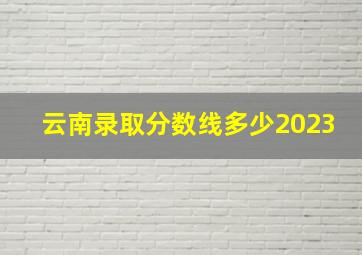 云南录取分数线多少2023