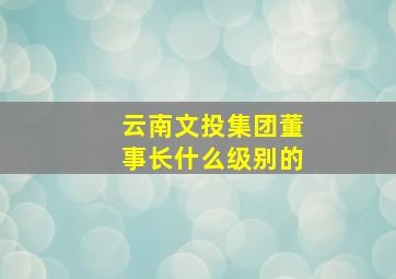 云南文投集团董事长什么级别的