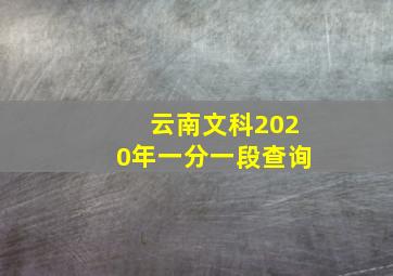 云南文科2020年一分一段查询