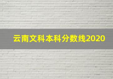 云南文科本科分数线2020