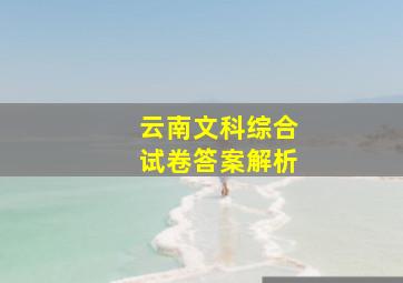 云南文科综合试卷答案解析