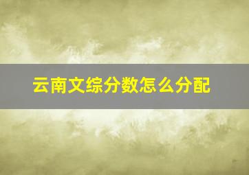 云南文综分数怎么分配