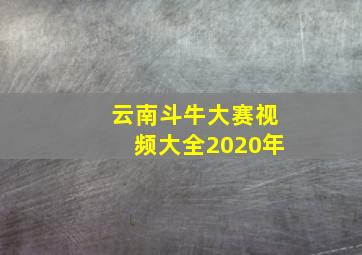 云南斗牛大赛视频大全2020年