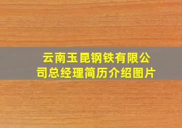 云南玉昆钢铁有限公司总经理简历介绍图片