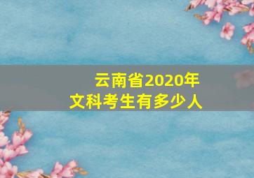 云南省2020年文科考生有多少人