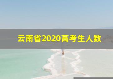 云南省2020高考生人数