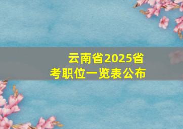 云南省2025省考职位一览表公布