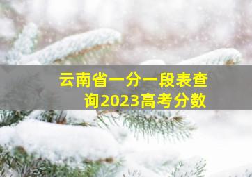 云南省一分一段表查询2023高考分数