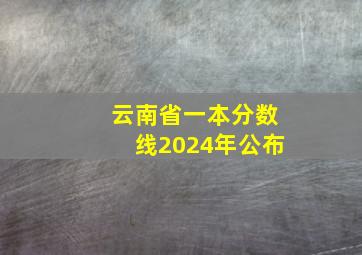 云南省一本分数线2024年公布