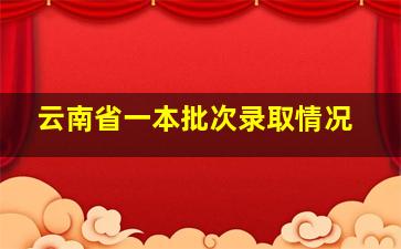 云南省一本批次录取情况