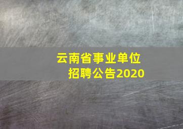 云南省事业单位招聘公告2020