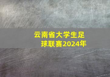 云南省大学生足球联赛2024年