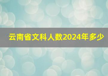 云南省文科人数2024年多少