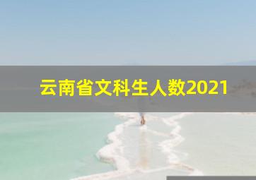 云南省文科生人数2021