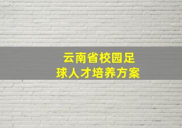 云南省校园足球人才培养方案