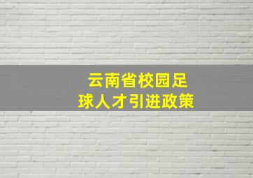 云南省校园足球人才引进政策