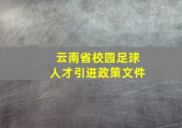 云南省校园足球人才引进政策文件