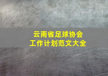 云南省足球协会工作计划范文大全