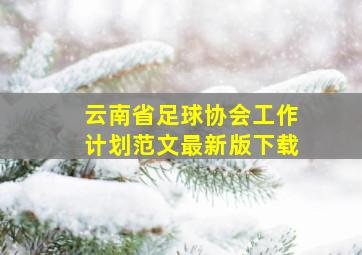 云南省足球协会工作计划范文最新版下载