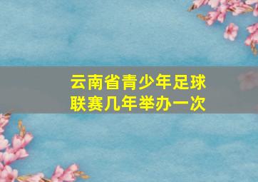 云南省青少年足球联赛几年举办一次