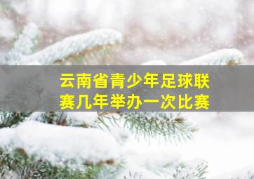 云南省青少年足球联赛几年举办一次比赛