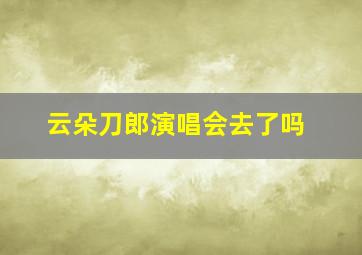 云朵刀郎演唱会去了吗