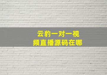 云豹一对一视频直播源码在哪