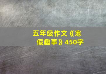 五年级作文《寒假趣事》450字