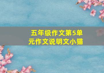 五年级作文第5单元作文说明文小猫