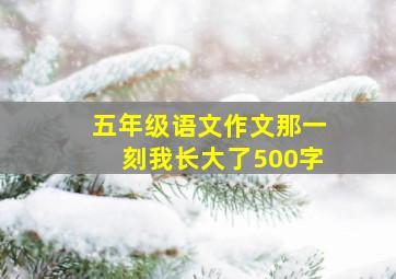 五年级语文作文那一刻我长大了500字