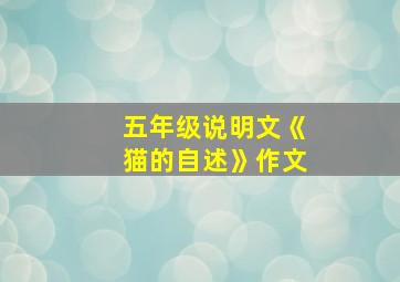 五年级说明文《猫的自述》作文