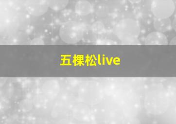 五棵松live