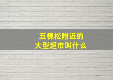 五棵松附近的大型超市叫什么