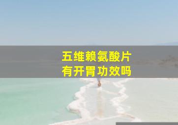 五维赖氨酸片有开胃功效吗