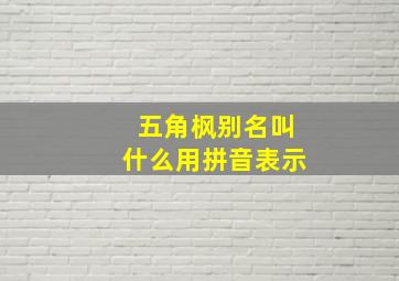 五角枫别名叫什么用拼音表示