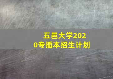 五邑大学2020专插本招生计划