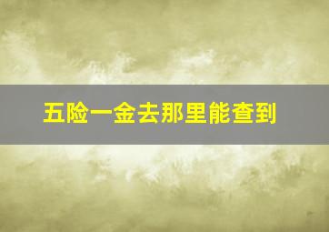 五险一金去那里能查到