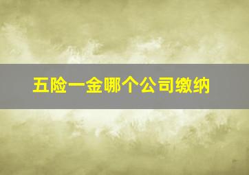 五险一金哪个公司缴纳