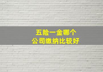 五险一金哪个公司缴纳比较好