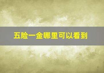 五险一金哪里可以看到