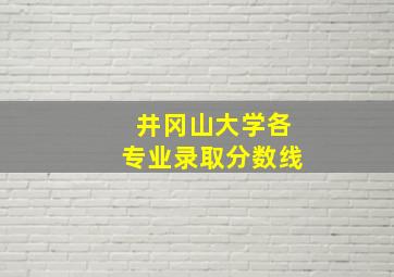 井冈山大学各专业录取分数线