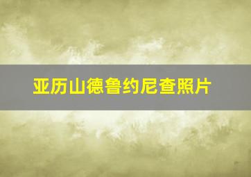 亚历山德鲁约尼查照片