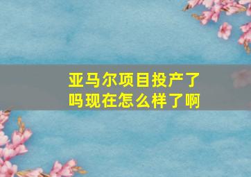 亚马尔项目投产了吗现在怎么样了啊