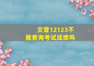 交管12123不能查询考试成绩吗