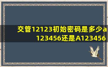 交管12123初始密码是多少a123456还是A123456