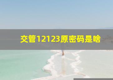 交管12123原密码是啥