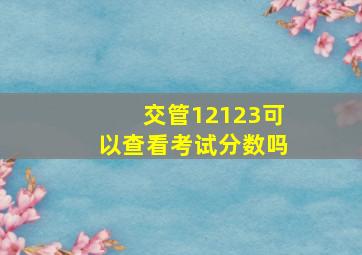 交管12123可以查看考试分数吗